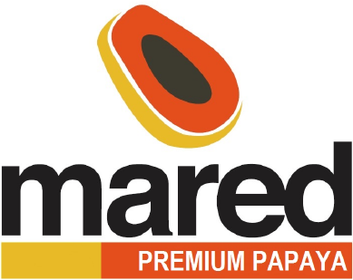 Logo Mared