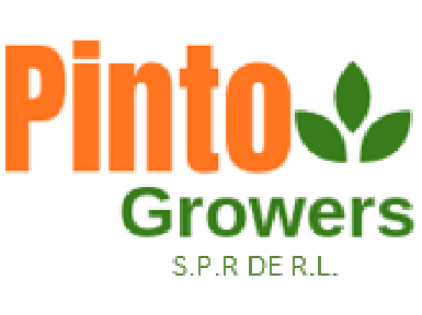 Logo Pinto Growers