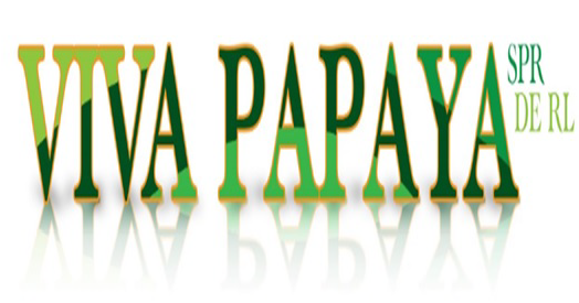 Logo Viva Papaya